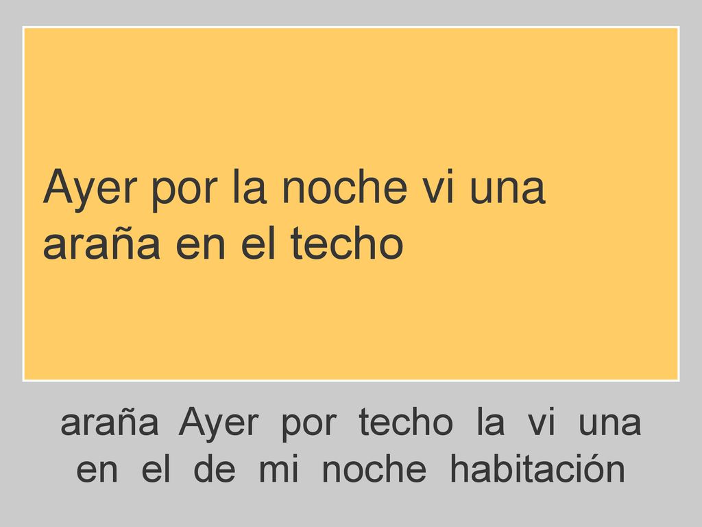 Ayer por la noche vi una araña en el techo