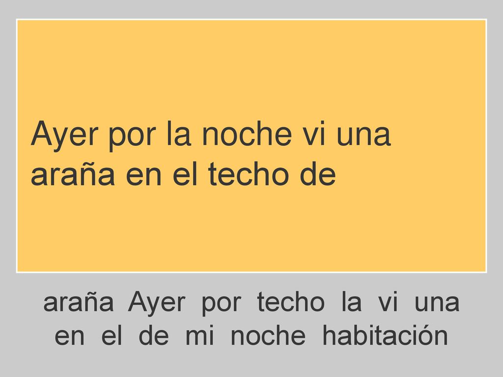 Ayer por la noche vi una araña en el techo de