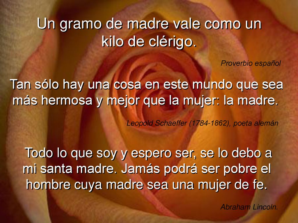 Un gramo de madre vale como un kilo de clérigo.