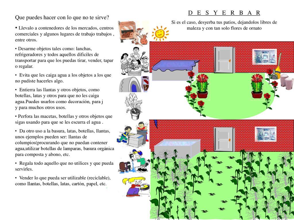 D E S Y E R B A R Que puedes hacer con lo que no te sirve