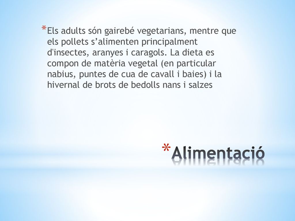 Els adults són gairebé vegetarians, mentre que els pollets s’alimenten principalment d insectes, aranyes i caragols. La dieta es compon de matèria vegetal (en particular nabius, puntes de cua de cavall i baies) i la hivernal de brots de bedolls nans i salzes