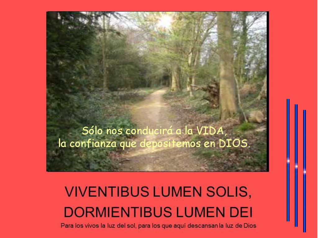 Sólo nos conducirá a la VIDA, la confianza que depositemos en DIOS.