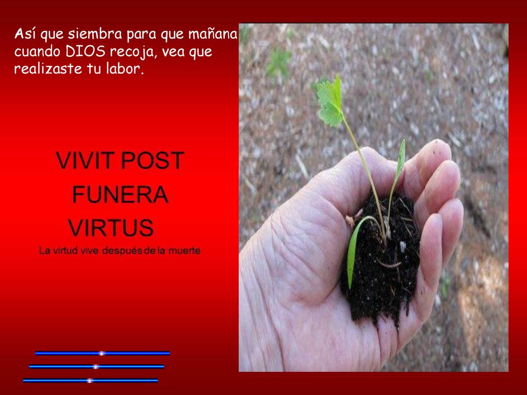 Así que siembra para que mañana cuando DIOS recoja, vea que realizaste tu labor.
