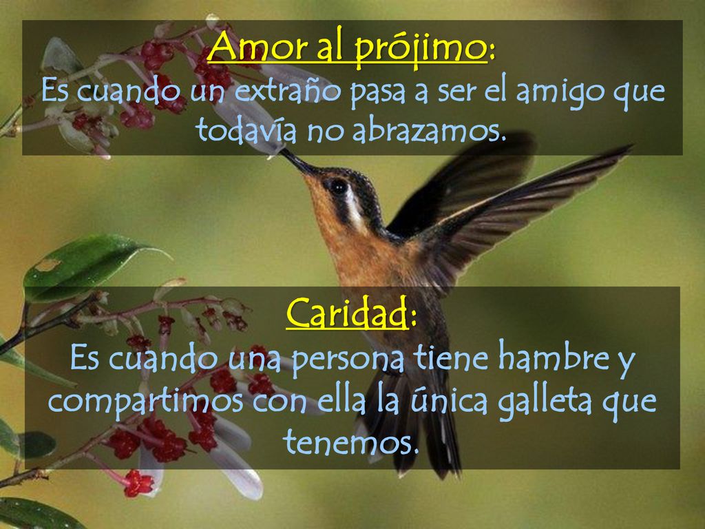 Es cuando un extraño pasa a ser el amigo que todavía no abrazamos.