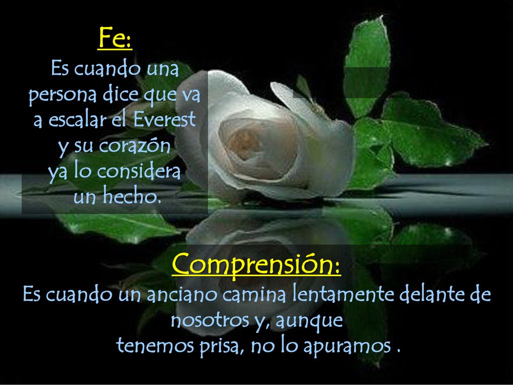 Fe: Es cuando una persona dice que va a escalar el Everest y su corazón. ya lo considera. un hecho.