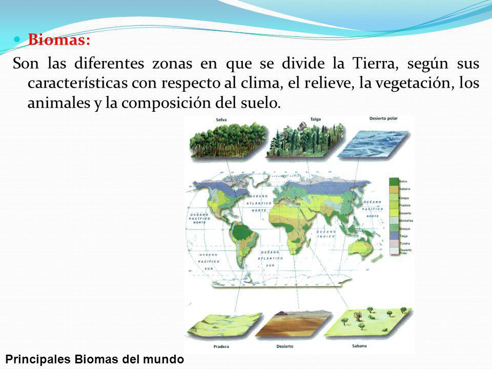Biomas:
