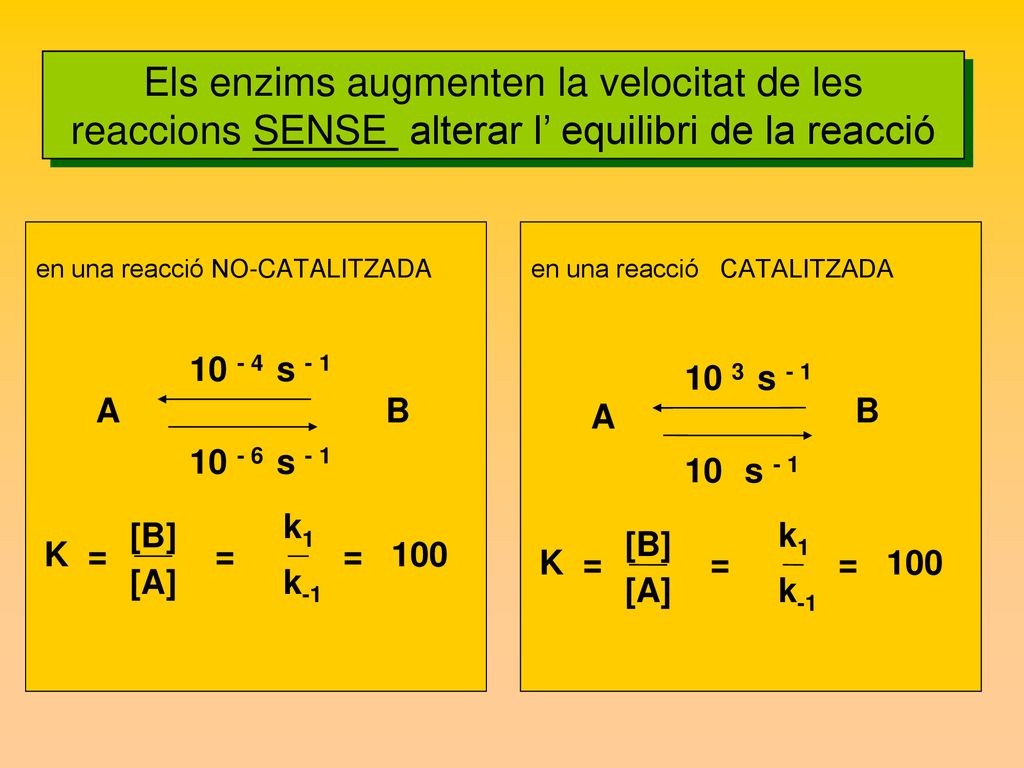 Els enzims augmenten la velocitat de les reaccions SENSE alterar l’ equilibri de la reacció