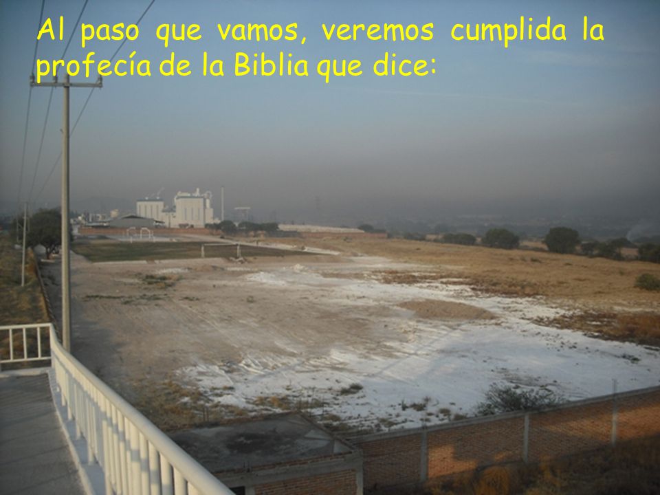 Al paso que vamos, veremos cumplida la profecía de la Biblia que dice: