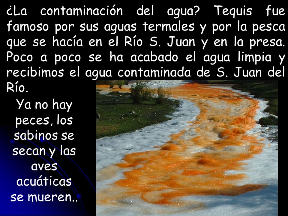 Ya no hay peces, los sabinos se secan y las aves acuáticas se mueren..
