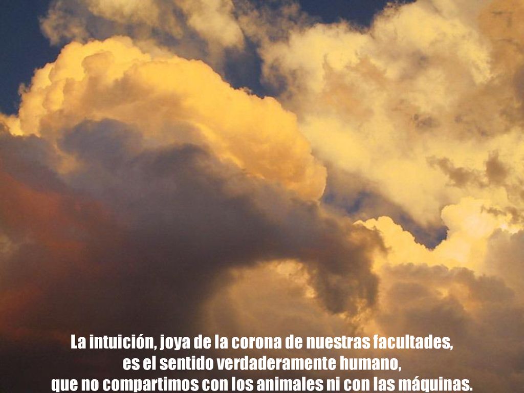 La intuición, joya de la corona de nuestras facultades,