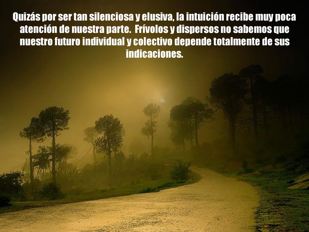 Quizás por ser tan silenciosa y elusiva, la intuición recibe muy poca