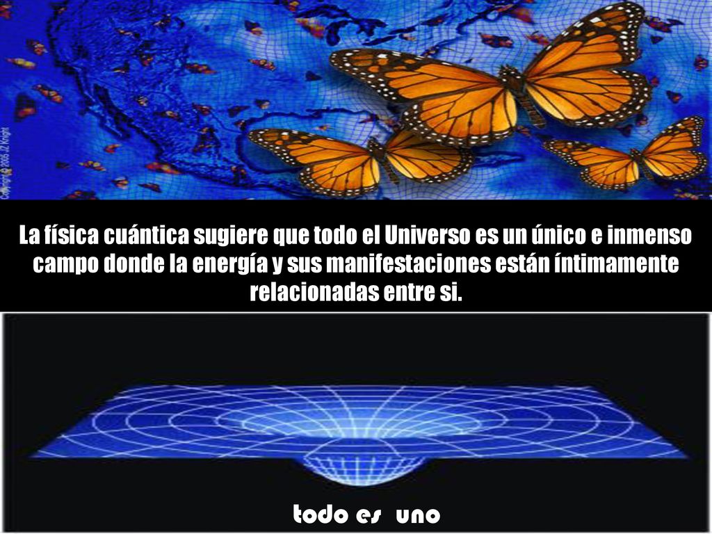 La física cuántica sugiere que todo el Universo es un único e inmenso campo donde la energía y sus manifestaciones están íntimamente relacionadas entre si.