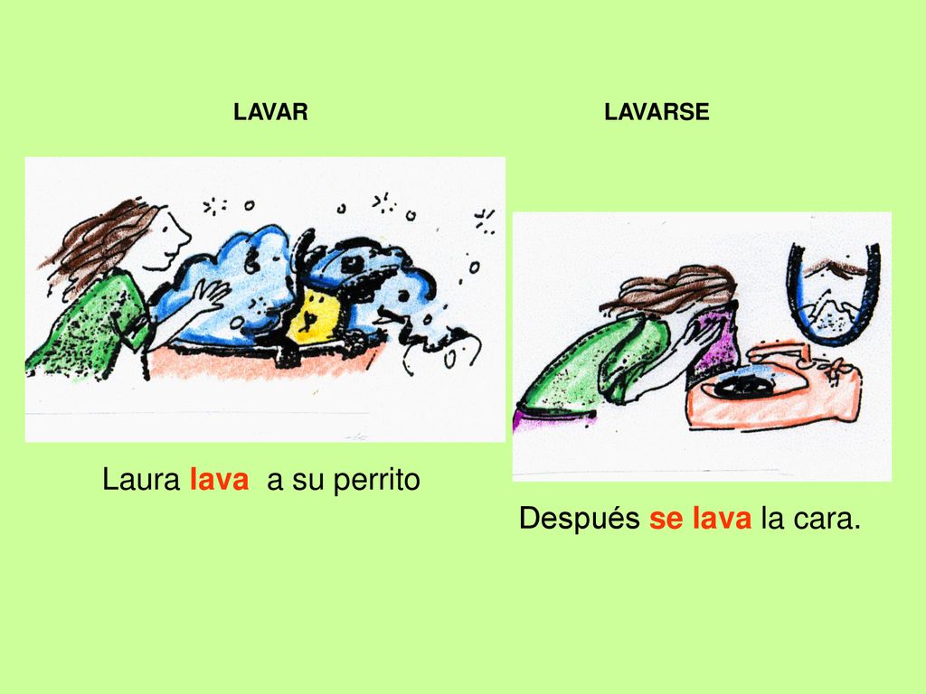 LAVAR LAVARSE Laura lava a su perrito Después se lava la cara.
