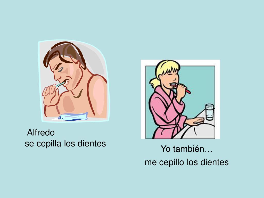 Alfredo se cepilla los dientes Yo también… me cepillo los dientes
