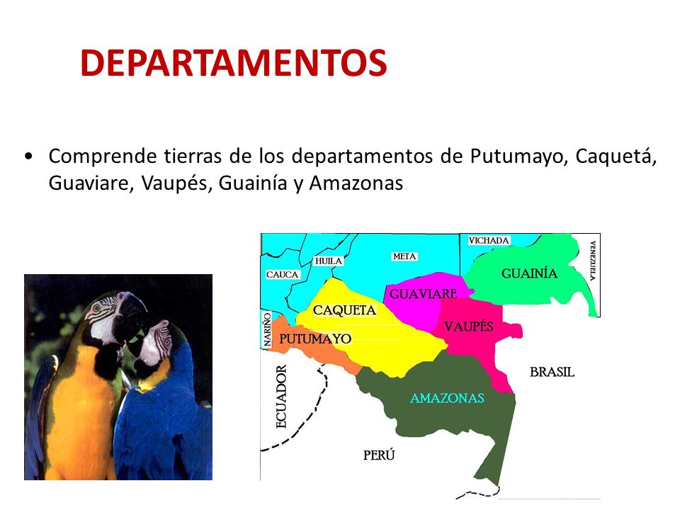DEPARTAMENTOS Comprende tierras de los departamentos de Putumayo, Caquetá, Guaviare, Vaupés, Guainía y Amazonas.