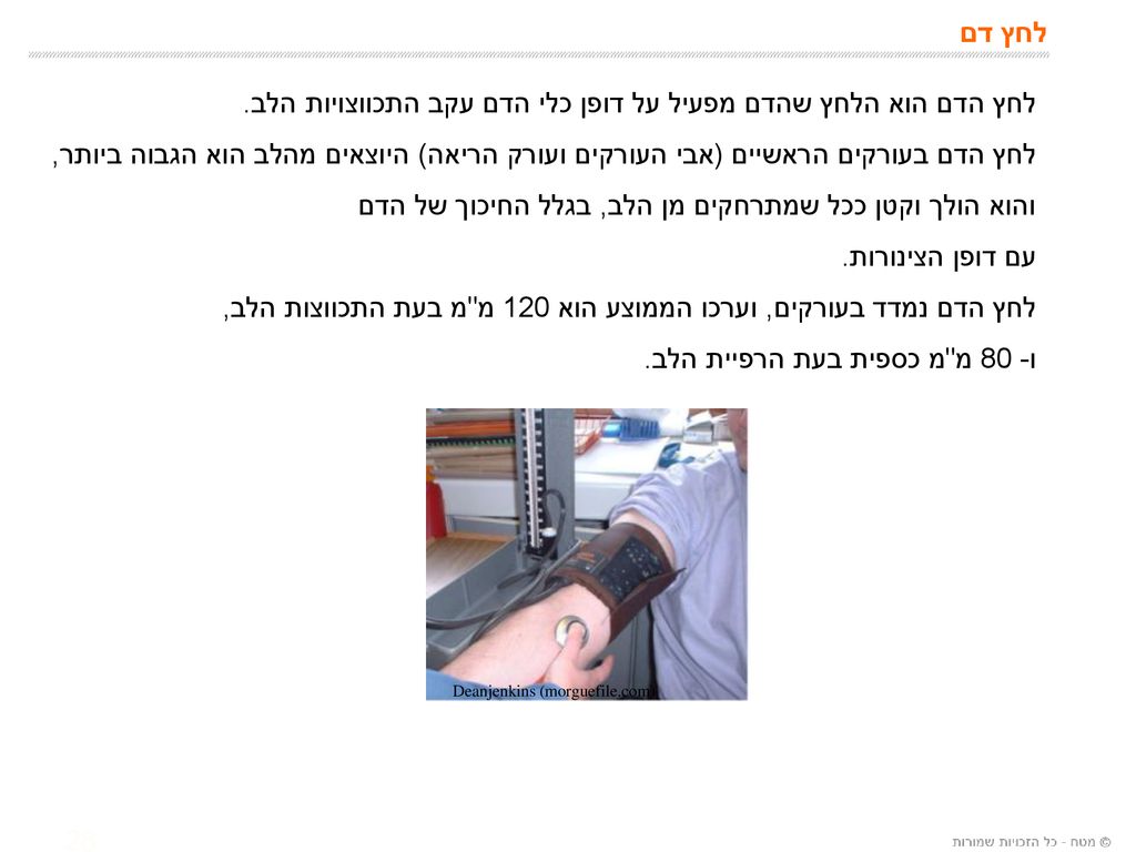 לחץ הדם הוא הלחץ שהדם מפעיל על דופן כלי הדם עקב התכווצויות הלב.