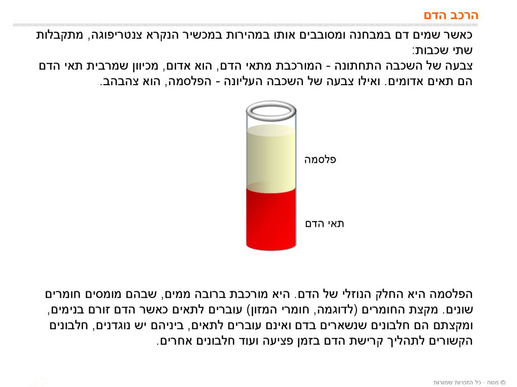 הרכב הדם כאשר שמים דם במבחנה ומסובבים אותו במהירות במכשיר הנקרא צנטריפוגה, מתקבלות שתי שכבות: