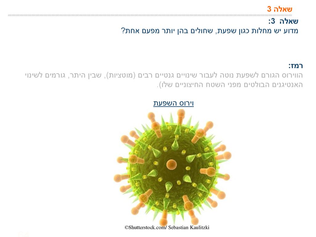 מדוע יש מחלות כגון שפעת, שחולים בהן יותר מפעם אחת