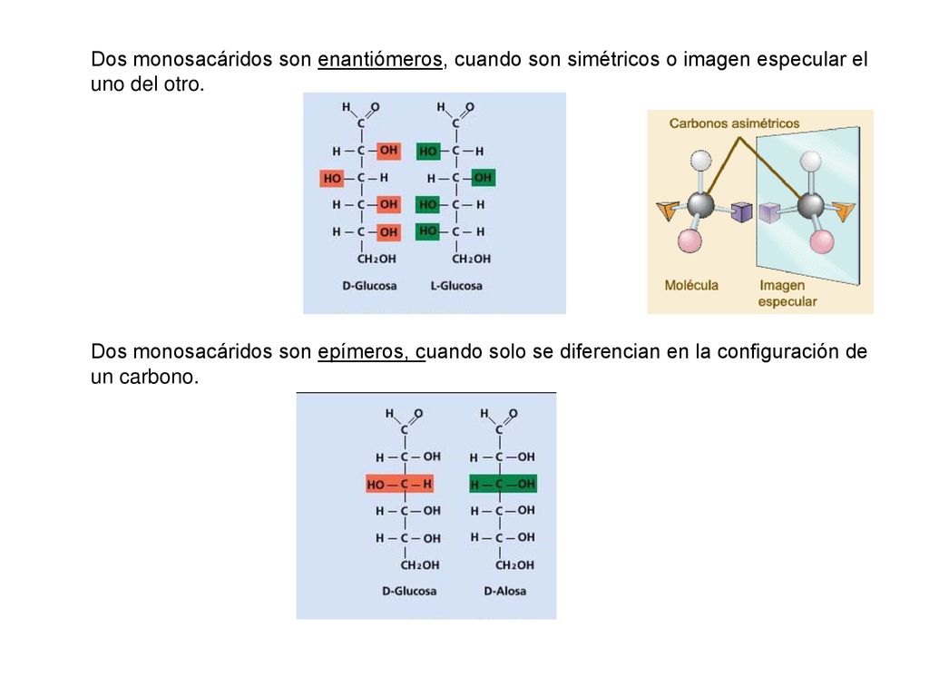 Dos monosacáridos son enantiómeros, cuando son simétricos o imagen especular el uno del otro.