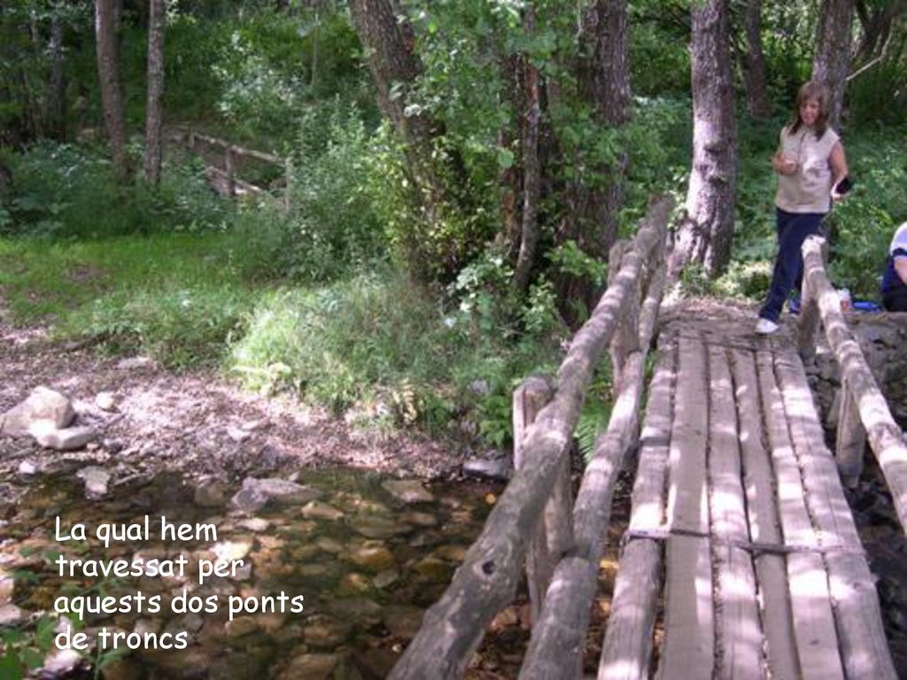 La qual hem travessat per aquests dos ponts de troncs