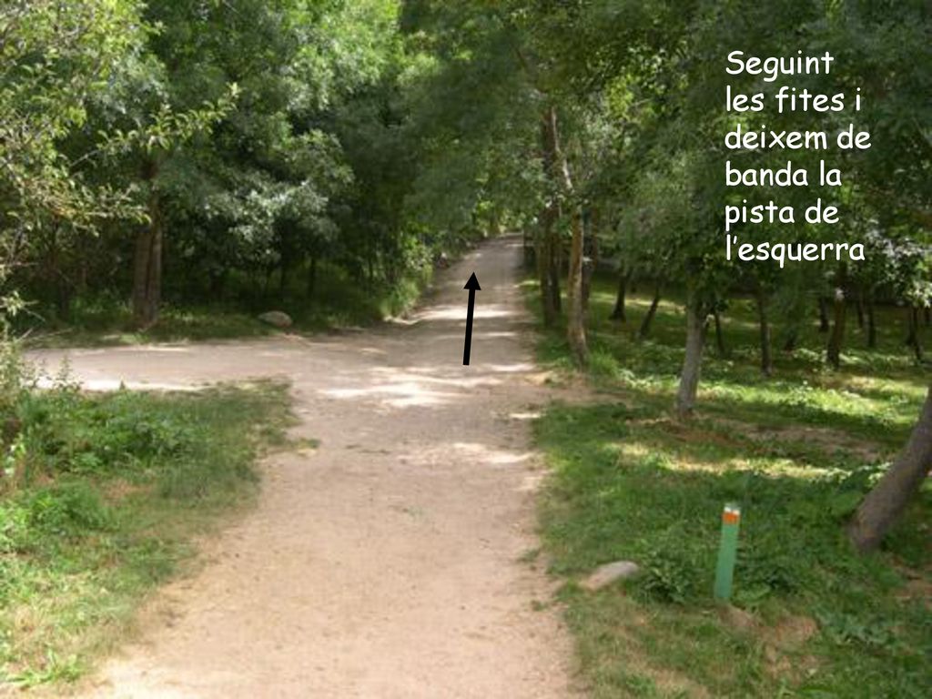 Seguint les fites i deixem de banda la pista de l’esquerra