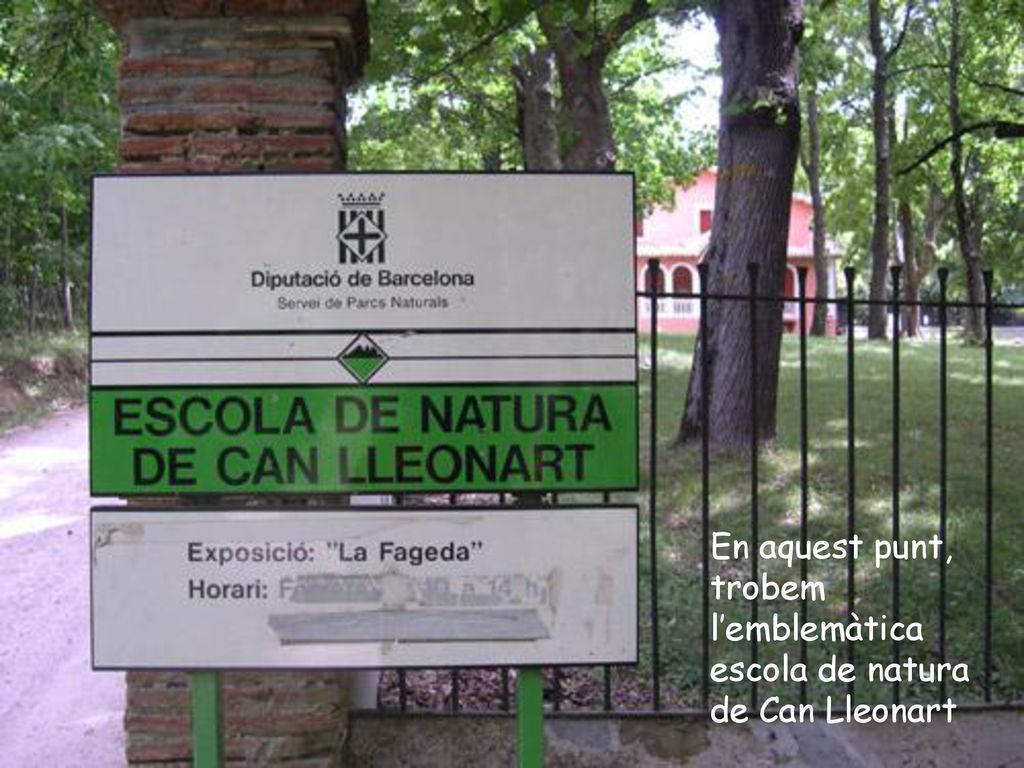 En aquest punt, trobem l’emblemàtica escola de natura de Can Lleonart