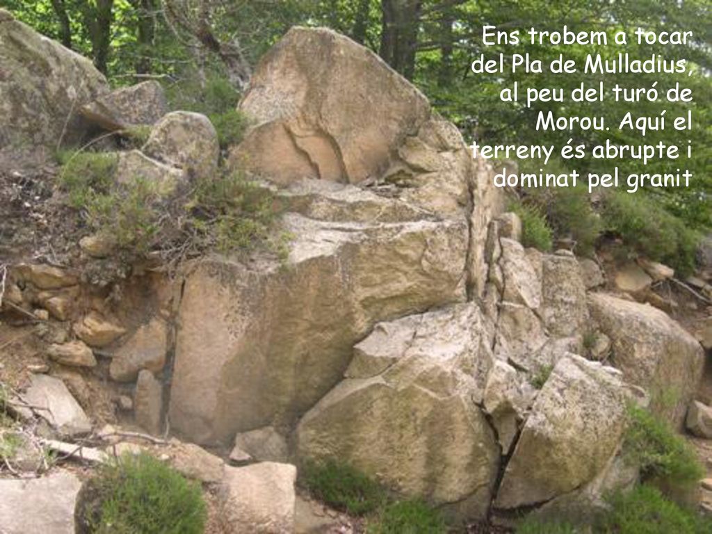Ens trobem a tocar del Pla de Mulladius, al peu del turó de Morou
