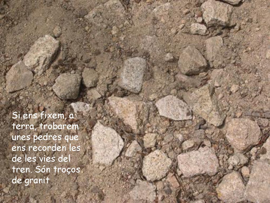 Si ens fixem, a terra, trobarem unes pedres que ens recorden les de les vies del tren.