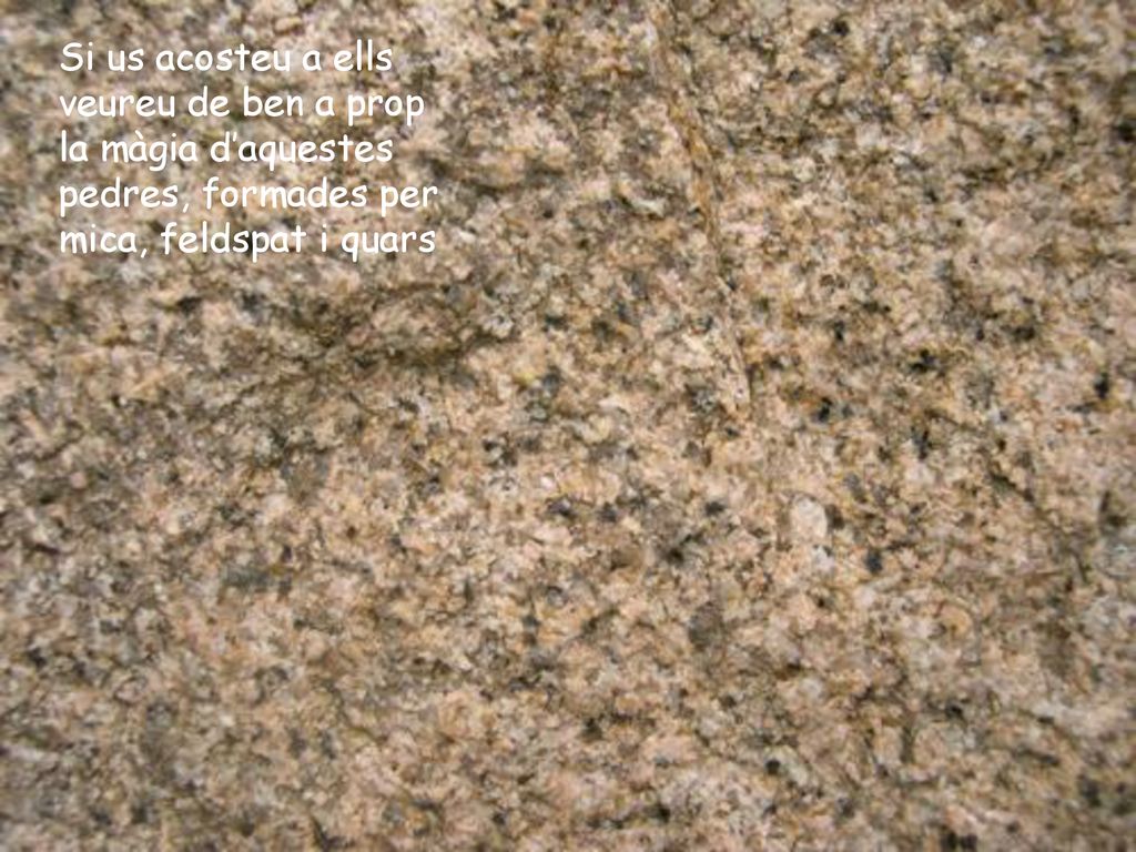 Si us acosteu a ells veureu de ben a prop la màgia d’aquestes pedres, formades per mica, feldspat i quars