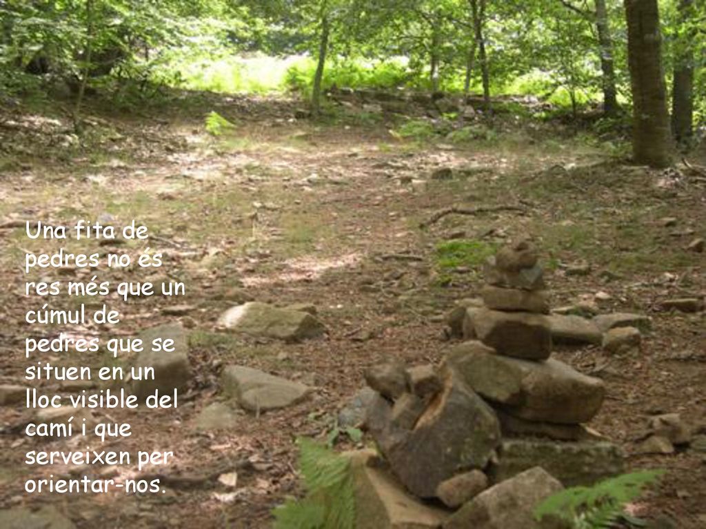 Una fita de pedres no és res més que un cúmul de pedres que se situen en un lloc visible del camí i que serveixen per orientar-nos.