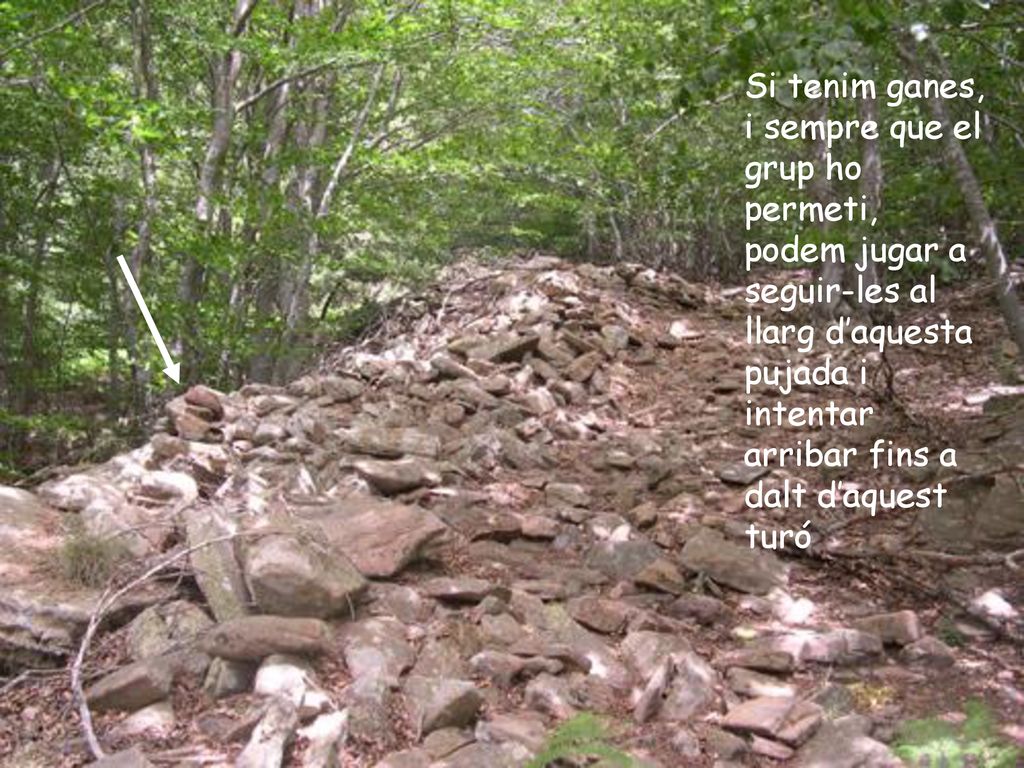 Si tenim ganes, i sempre que el grup ho permeti, podem jugar a seguir-les al llarg d’aquesta pujada i intentar arribar fins a dalt d’aquest turó