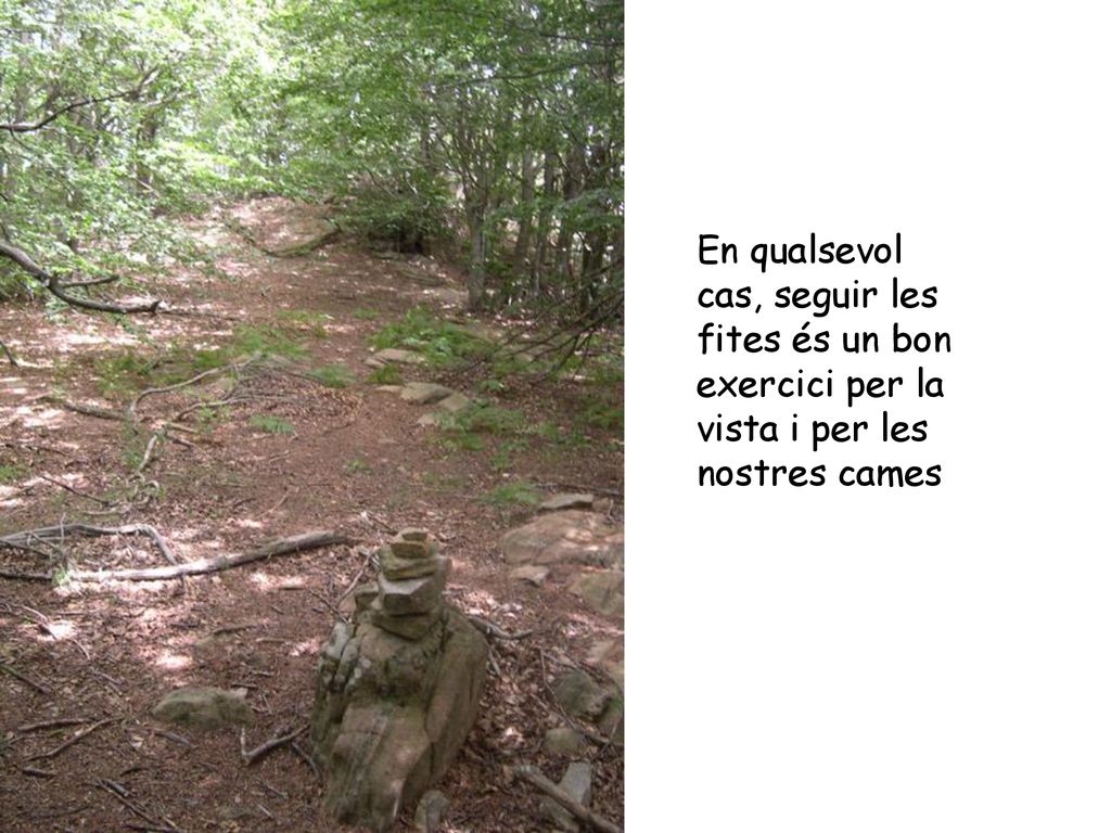 En qualsevol cas, seguir les fites és un bon exercici per la vista i per les nostres cames