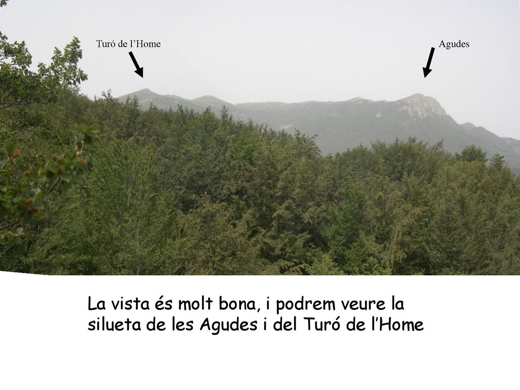 La vista és molt bona, i podrem veure la silueta de les Agudes i del Turó de l’Home