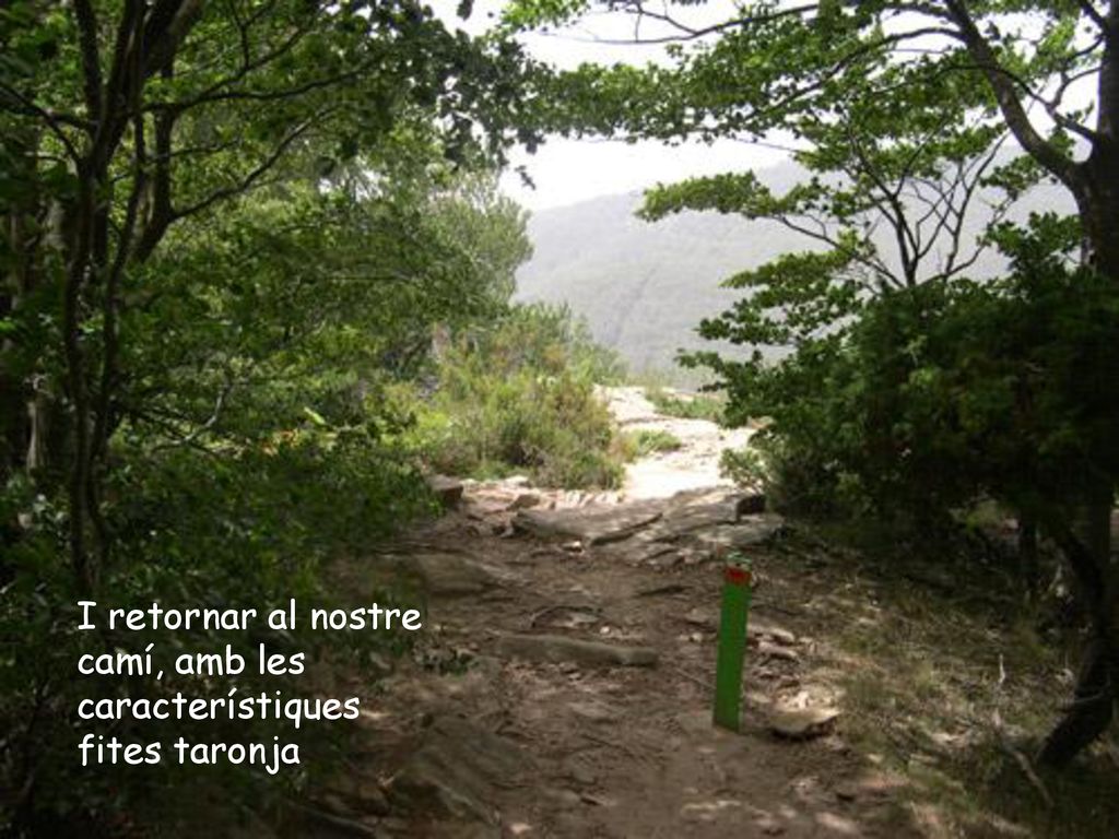 I retornar al nostre camí, amb les característiques fites taronja