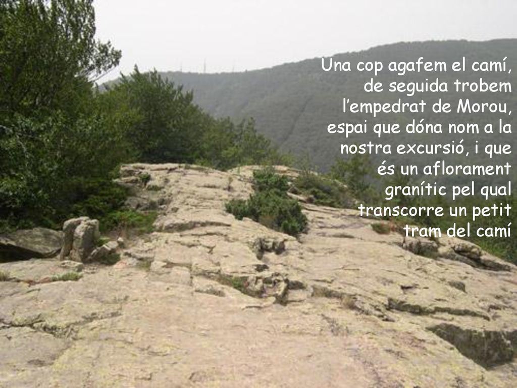 Una cop agafem el camí, de seguida trobem l’empedrat de Morou, espai que dóna nom a la nostra excursió, i que és un aflorament granític pel qual transcorre un petit tram del camí