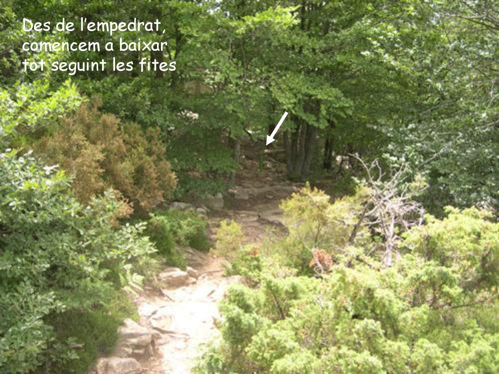 Des de l’empedrat, comencem a baixar tot seguint les fites