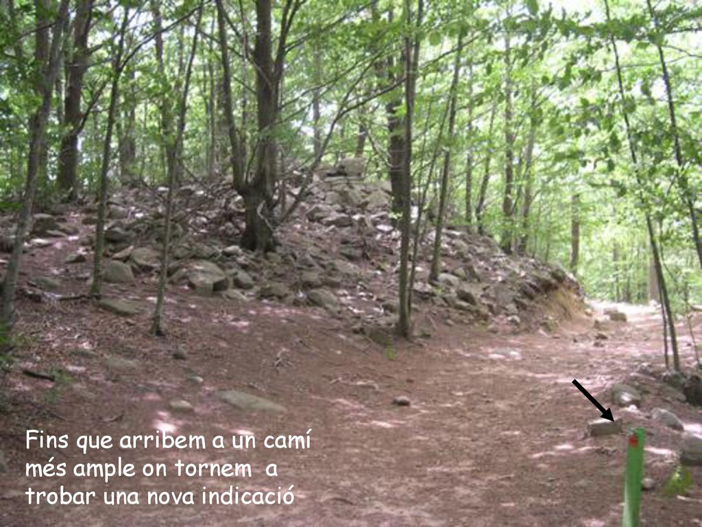 Fins que arribem a un camí més ample on tornem a trobar una nova indicació