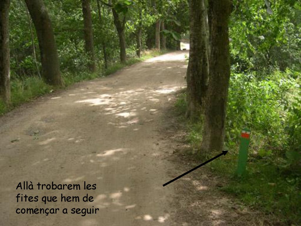 Allà trobarem les fites que hem de començar a seguir