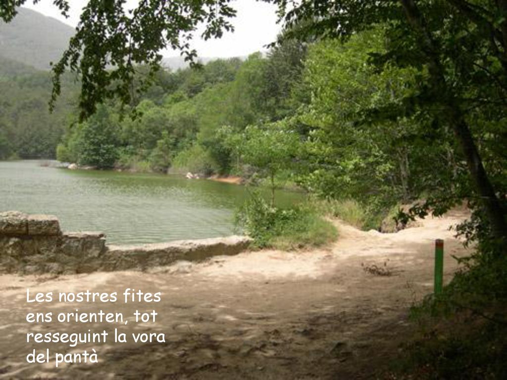 Les nostres fites ens orienten, tot resseguint la vora del pantà