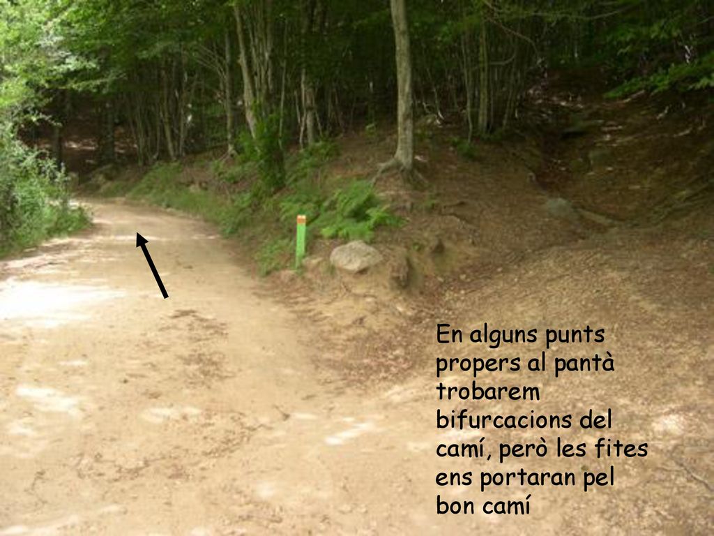 En alguns punts propers al pantà trobarem bifurcacions del camí, però les fites ens portaran pel bon camí