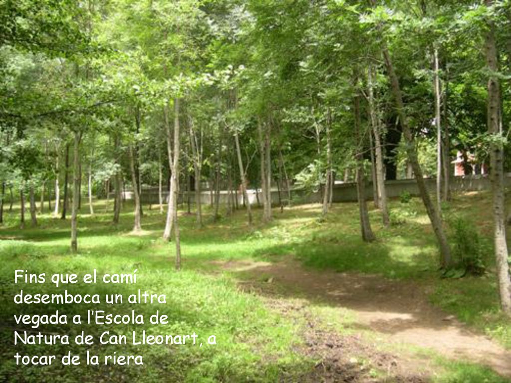 Fins que el camí desemboca un altra vegada a l’Escola de Natura de Can Lleonart, a tocar de la riera