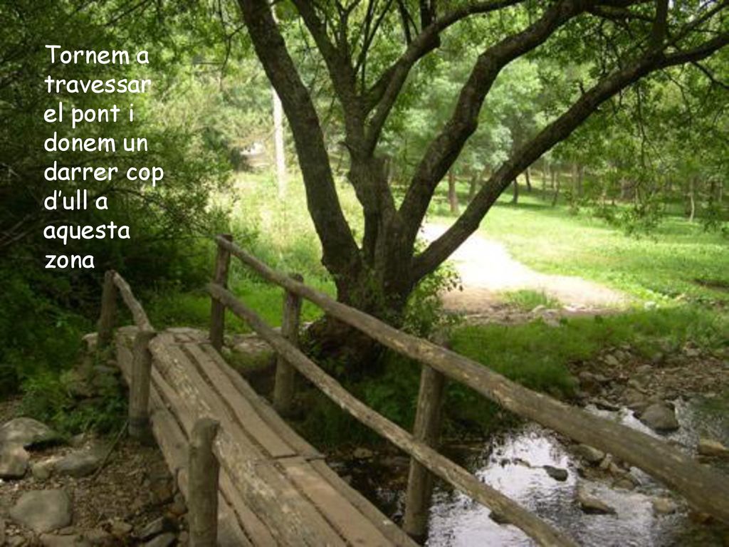 Tornem a travessar el pont i donem un darrer cop d’ull a aquesta zona