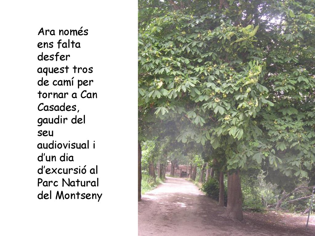 Ara només ens falta desfer aquest tros de camí per tornar a Can Casades, gaudir del seu audiovisual i d’un dia d’excursió al Parc Natural del Montseny