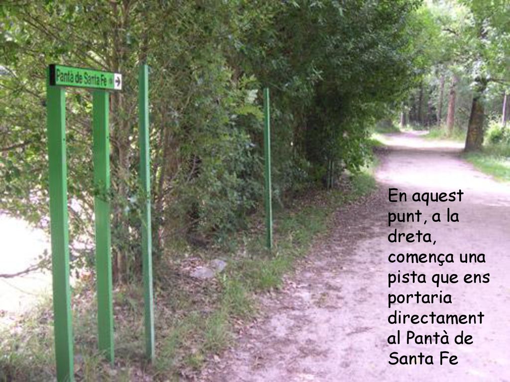 En aquest punt, a la dreta, comença una pista que ens portaria directament al Pantà de Santa Fe