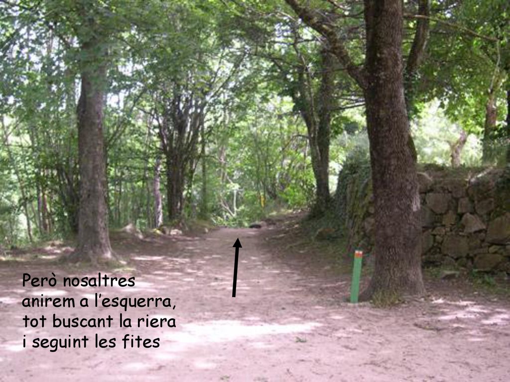 Però nosaltres anirem a l’esquerra, tot buscant la riera i seguint les fites