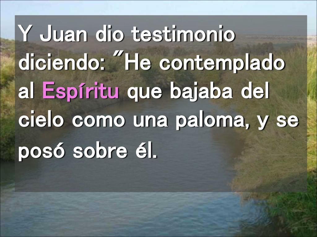 Y Juan dio testimonio diciendo: He contemplado al Espíritu que bajaba del cielo como una paloma, y se posó sobre él.