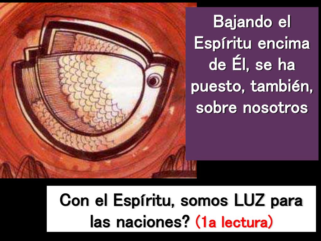 Con el Espíritu, somos LUZ para las naciones (1a lectura)