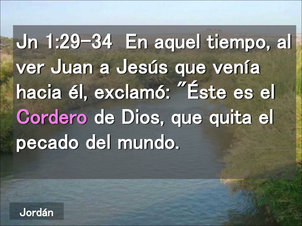 Jn 1:29-34 En aquel tiempo, al ver Juan a Jesús que venía hacia él, exclamó: Éste es el Cordero de Dios, que quita el pecado del mundo.