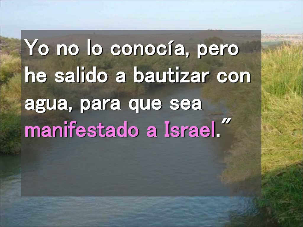 Yo no lo conocía, pero he salido a bautizar con agua, para que sea manifestado a Israel.