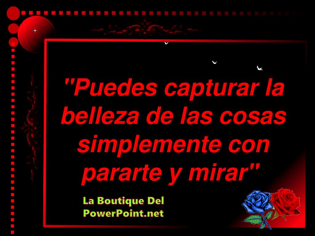 Puedes capturar la belleza de las cosas simplemente con pararte y mirar